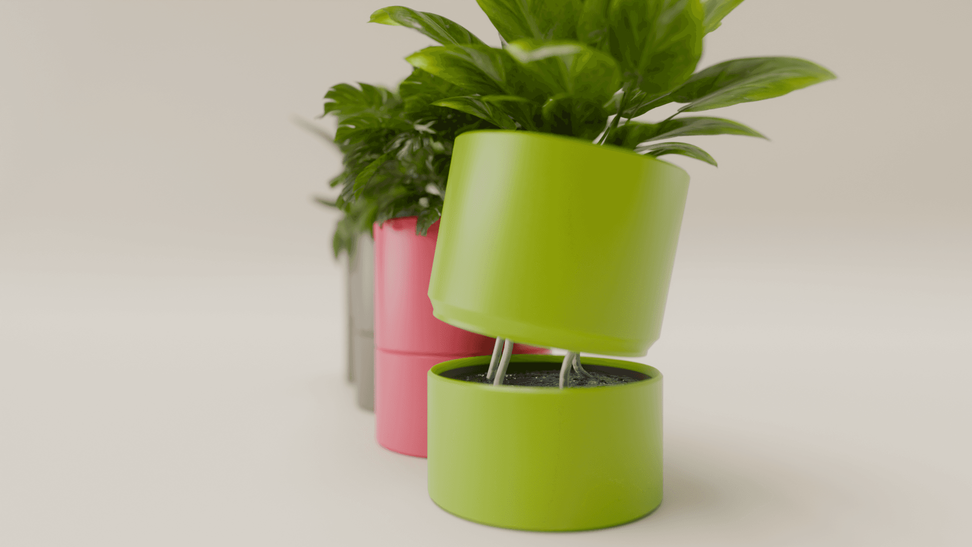 The Complete Guide to Bottom Watering