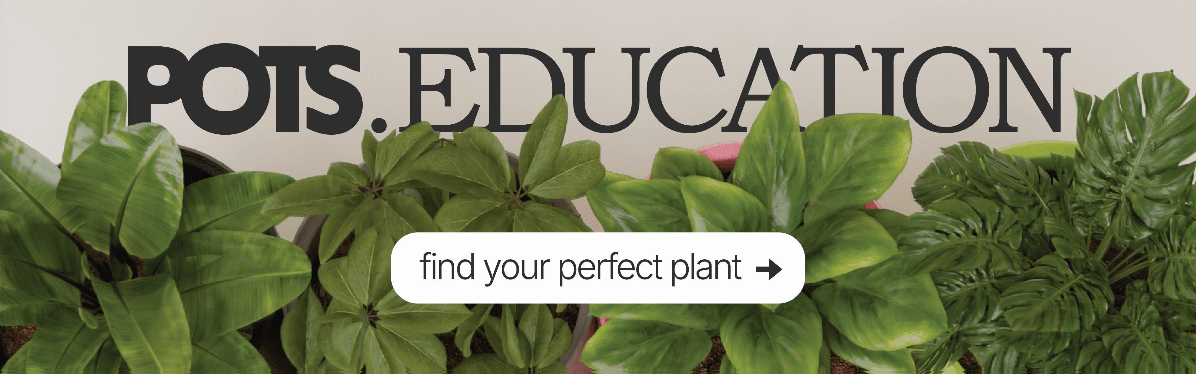 POTS Education - Find your perfect plant