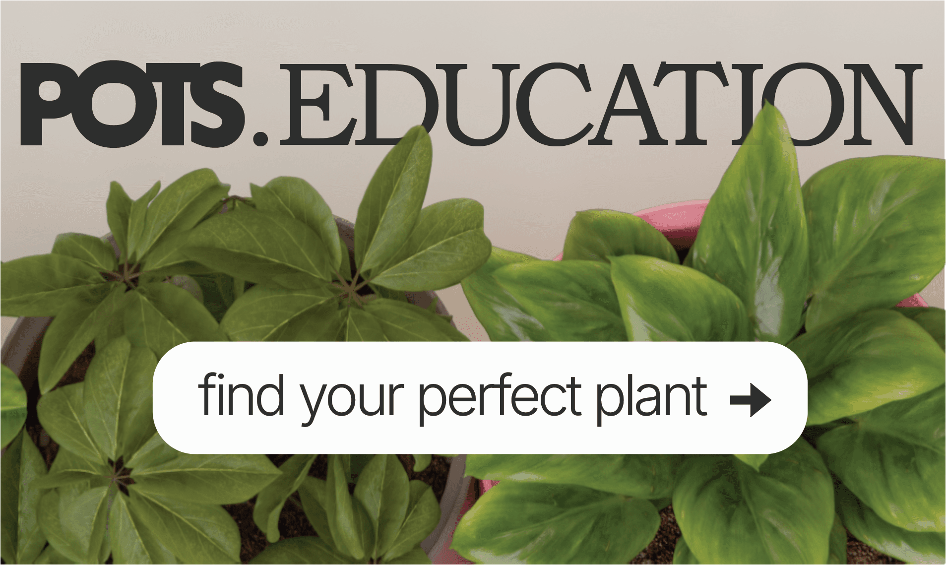 POTS Education - Finally, plant advice that makes sense. Find your perfect plant.