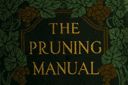 The Pruning-Manual