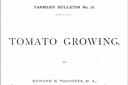 Tomato Growing